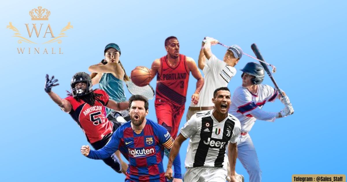 WINALL – TRỤ CỘT THỂ THAO CAO ĐIỂM CHO HỆ ĐẠI LÝ