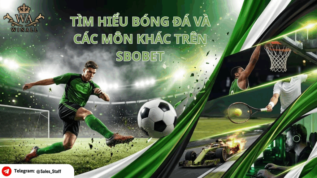 Tìm hiểu về Bóng Đá Và Các Môn Khác Trên SBOBET
